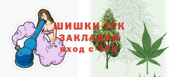 индика Аркадак