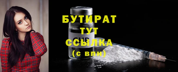 индика Аркадак