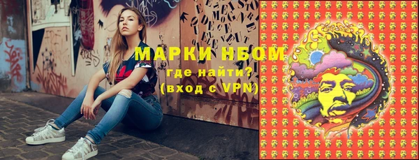 индика Аркадак