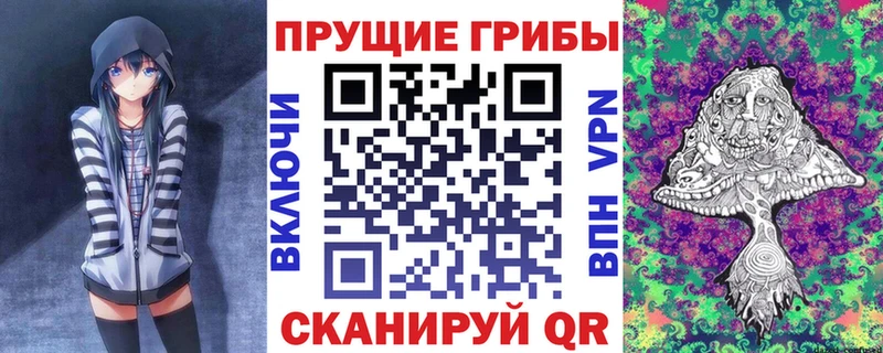 цена   Аткарск  Галлюциногенные грибы прущие грибы 
